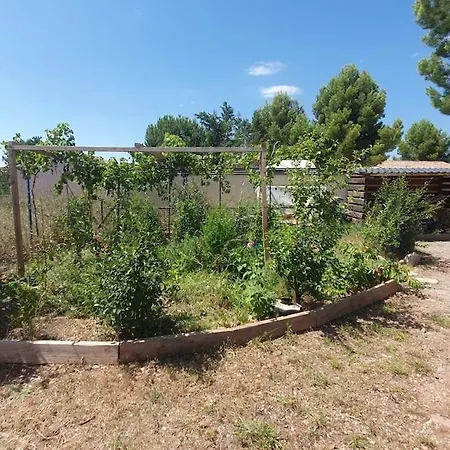 Maison Familiale Avec Grande Piscine * Canet (Herault)